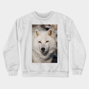 Arctic Wolf Crewneck Sweatshirt